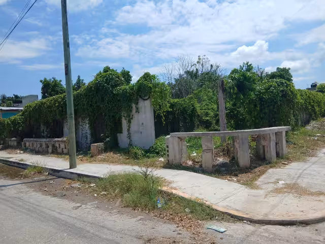 Casa abandonada representa riesgo en colonia Morelos, en Escárcega.