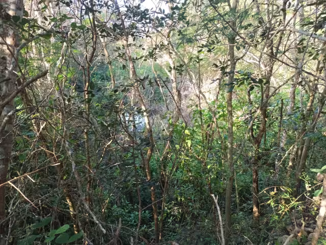 Las sascaberas surgen en las excavaciones para sacar material de sascan