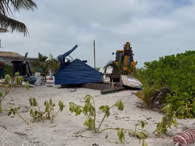 Acusan intereses económicos detrás de desalojos en Carmen
