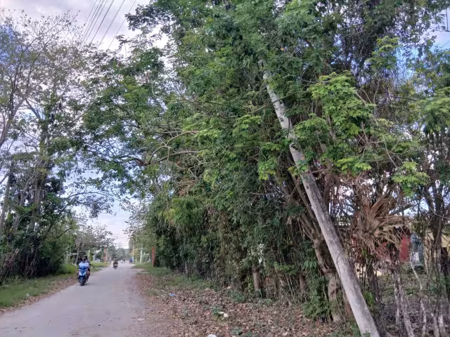 Vecinos de Escárcega denuncian poste de la Comisión Federal de Electricidad en riesgo de colapso.