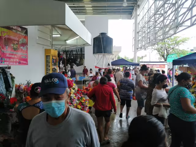 Foto: Irene Barradas