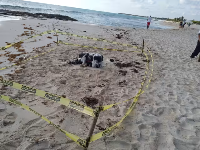 Fue la Guardia Nacional la que aseguró el costal con la droga que recaló en uno de los arenales de Playa del Carmen