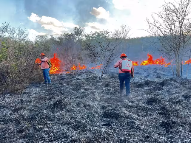Por más de 12 horas las brigadas trataron de apagar el siniestro