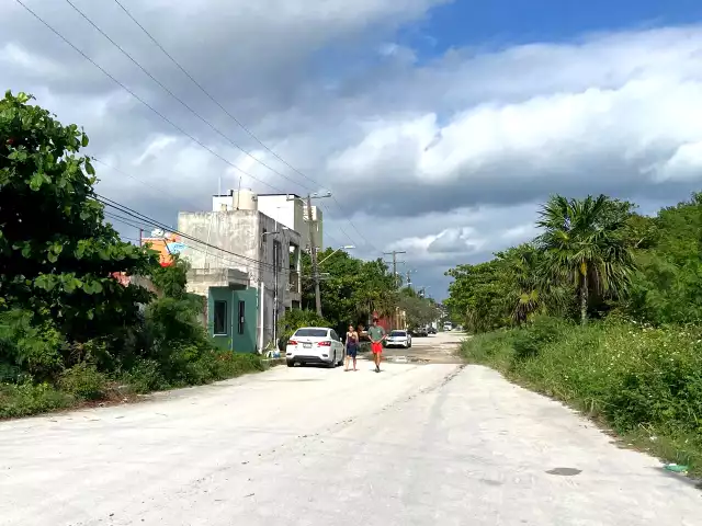 En los años 70 arrasaron con barreras antihuracanes para la creación de colonias como Donceles 28.