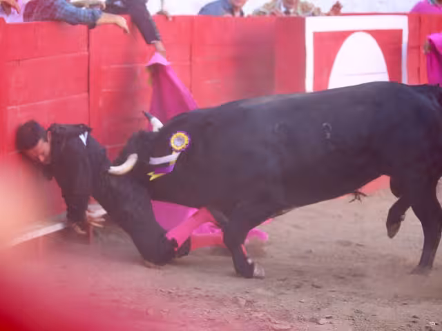 El torero se encuentra estable, de acuerdo con la información compartida por su madre