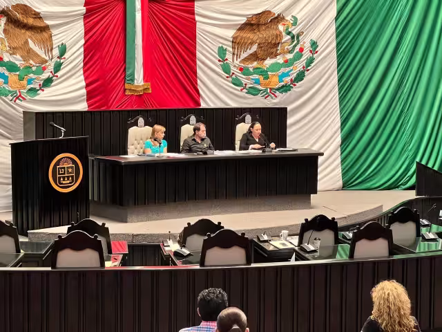 La presentación de la funcionaria ante el órgano público se dio a pesar de la ausencia de la diputada Yohanet Torres, que faltó por supuestos motivos de salud