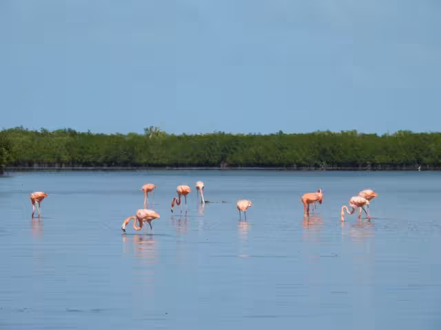 Isla Cerritos o Isla Maya se encuentran en San Felipe