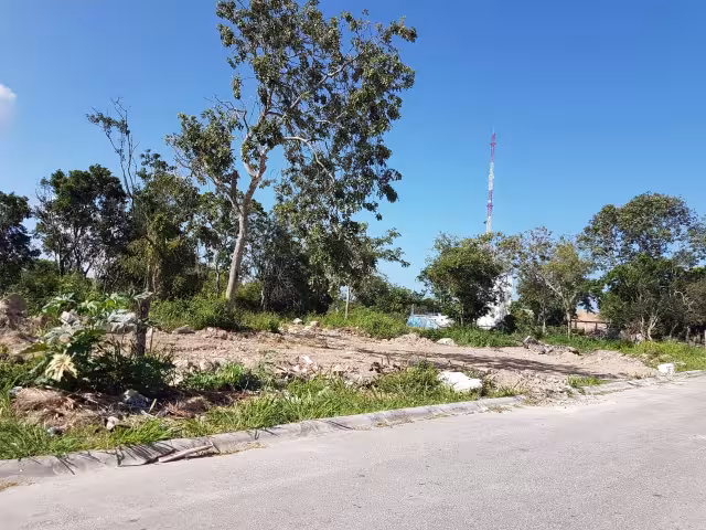 René Medrano Río indicó que la invasión de predios municipales pone en riesgo el desarrollo de Puerto Aventuras