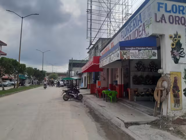 El conocido delincuente "El Mosquito" ha robado una hamaca en una lavandería de la colonia Morelos