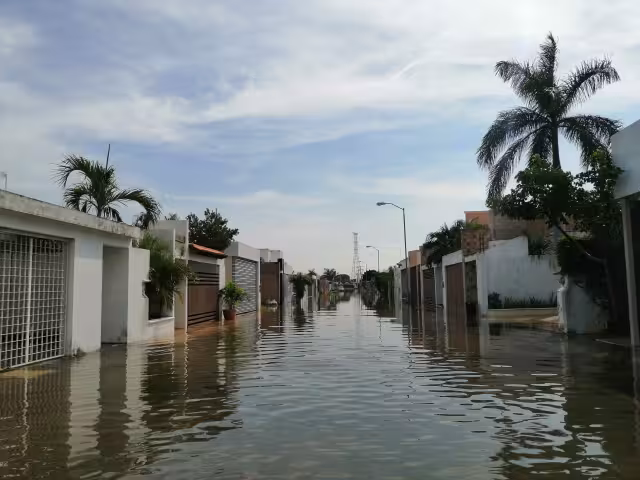 Piden atender la necesidad inmediata construyendo más pozos y desazolvar los ya existentes. Foto: Por Esto!