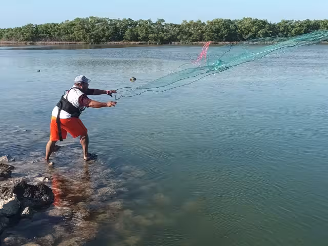 Los cordeles con anzuelo son poco útiles para esta especie, por lo que usan pequeñas redes con plomo para su captura