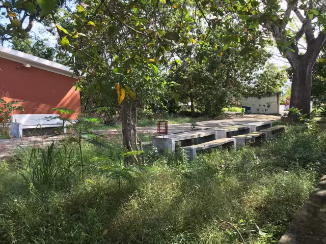 La maleza creció e invadió los espacios de recreación, donde los niños solían jugar