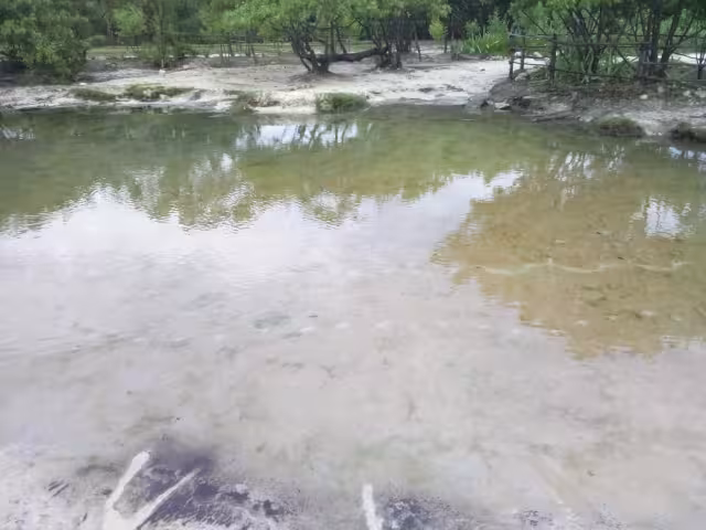 Las autoridades no han acudido a realizar pruebas en el cenote.