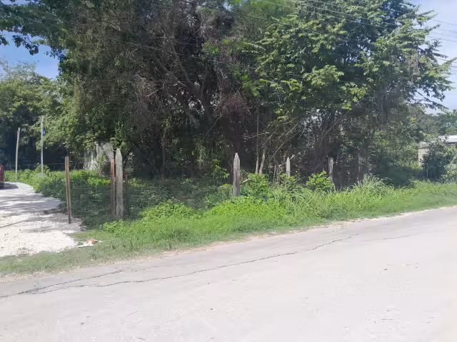 Fueron tres hombres que aun no han sido identificados