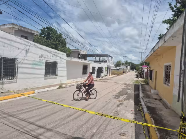 Ataque de abejas en la colonia Puente Viejo moviliza a Protección Civil en Champotón