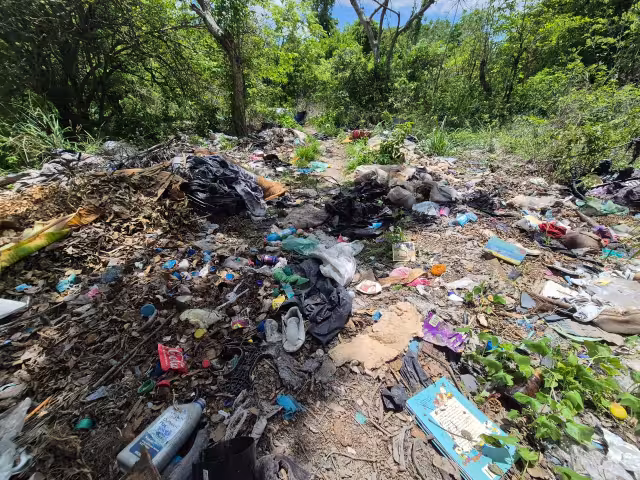 Vecinos de la calle 13 entre 24 y 26, en la colonia Pozo Monte, denuncian un predio lleno de basura, maleza y hasta animales muertos.