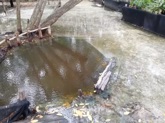 FOTOS: Cultur Yucatán