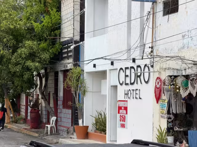 Hasta el momento no se han revelado más detalles sobre lo sucedido