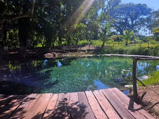 Ojo de Agua Santiago se consolida como el plan favorito para cerrar vacaciones en Campeche.