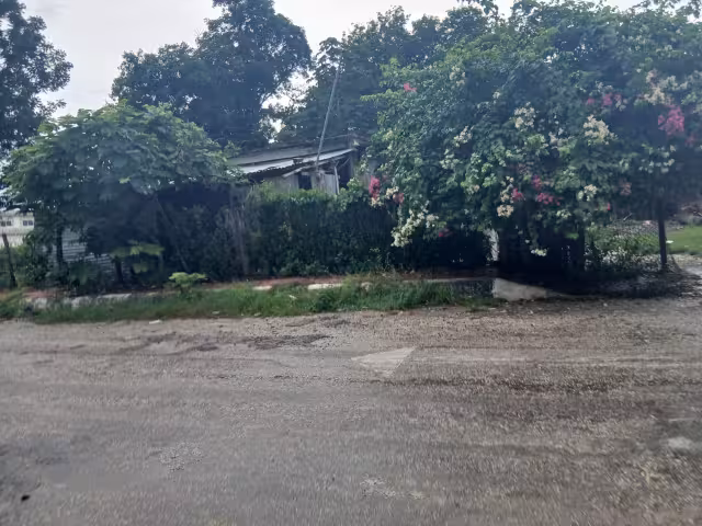 Casa es vaciada en la colonia Fátima; delincuentes se llevan hasta al perrito
