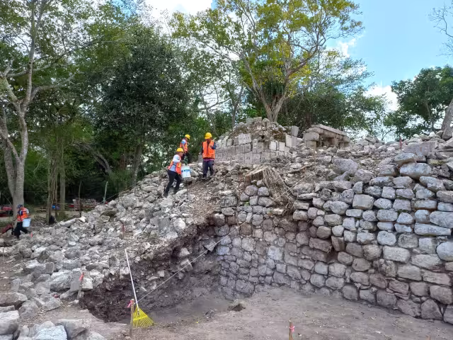 Podría ser un nuevo texto para ampliar el conocimiento de la cultura ancestral