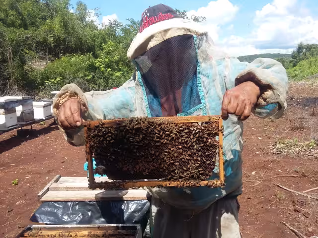 Se han conjuntado diversas problemáticas como las granjas porcícolas y la agroindustria en Hopelchén