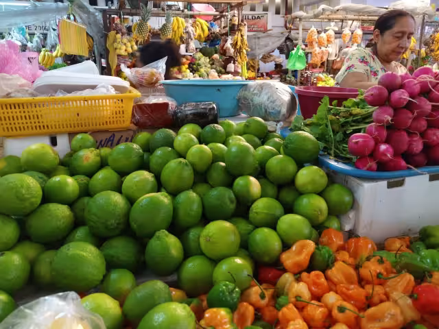 El precio del limón persa bajó bastante en mercados de Yucatán