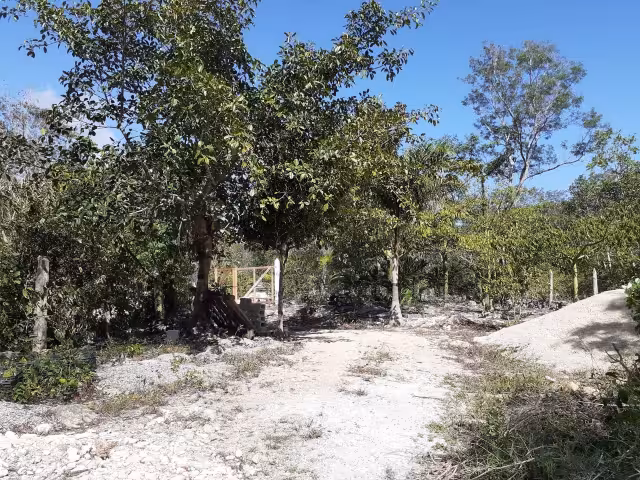 El predio El Pocito está en Puerto Aventuras, donde inversionistas presentaron solicitudes a la Semarnat para construir