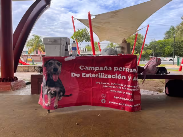 El Subdirector de Salud de la isla indicó que los perros deben tener más de dos meses, y los gatos, más de tres meses de edad, para recibir las dosis.