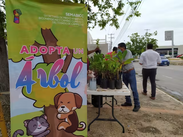 Campaña "Adopta un Árbol" busca regalar 3 mil plantas a la población campechana
