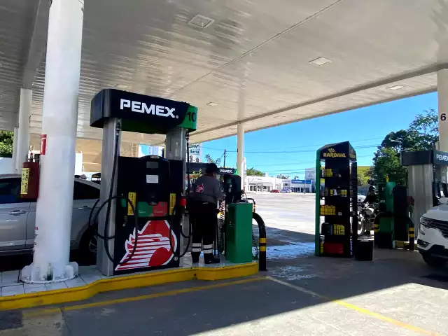 El salario mínimo vigente de 315 pesos diarios resulta insuficiente para cubrir gastos básicos.