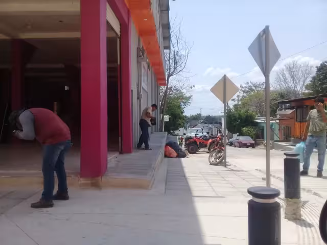 Al parecer se trata de un enjambre que se localizó en conocida tienda de autoservicio frente al parque principal