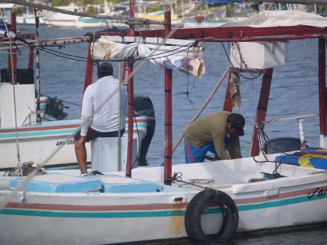Pescador de Chabihau afirma que han estado capturando el chac-chi que sirve para filete y canané