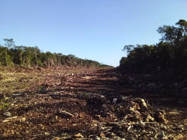 Algunos pertenecen al municipio de Escárcega, en el estado de Campeche