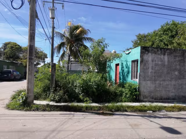 Foto: Irene Barradas