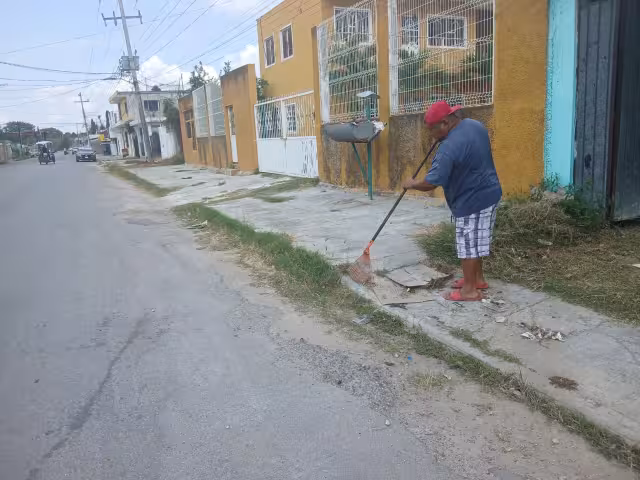 Denunciaron que desde hace más de un año el Ayuntamiento no realiza limpieza de banquetas