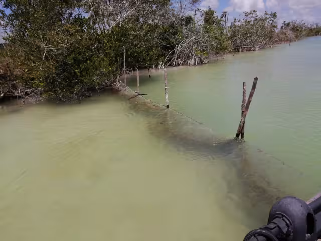 La red fue removida de inmediato del lugar y asegurada