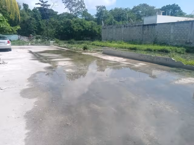 FOTOS: Agustín Ferrer