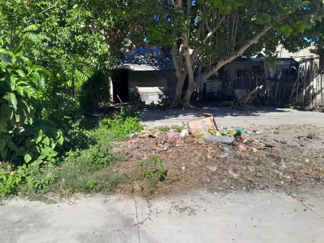 Los dueños de los pavos denunciarían el robo de las aves ante la FGE