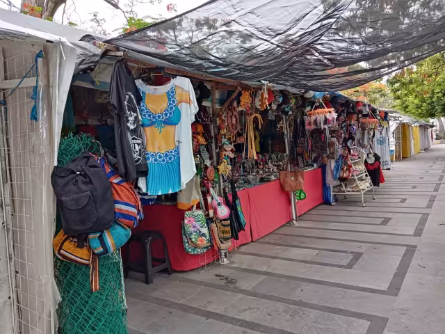 Actualmente los artesanos reportan ganancias de $50