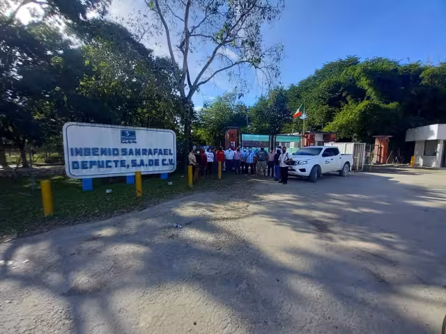 De esta actividad agrícola en Quintana Roo, dependen  tres mil 350 productores y de forma indirecta 10 mil familias