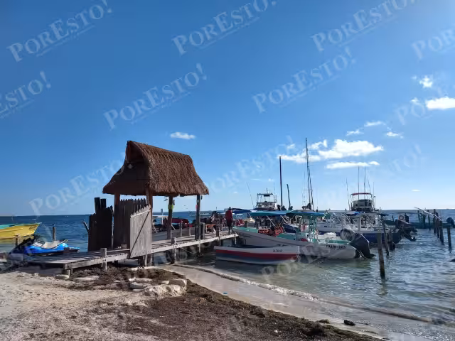 Se mantienen abiertas todas las líneas de investigación.