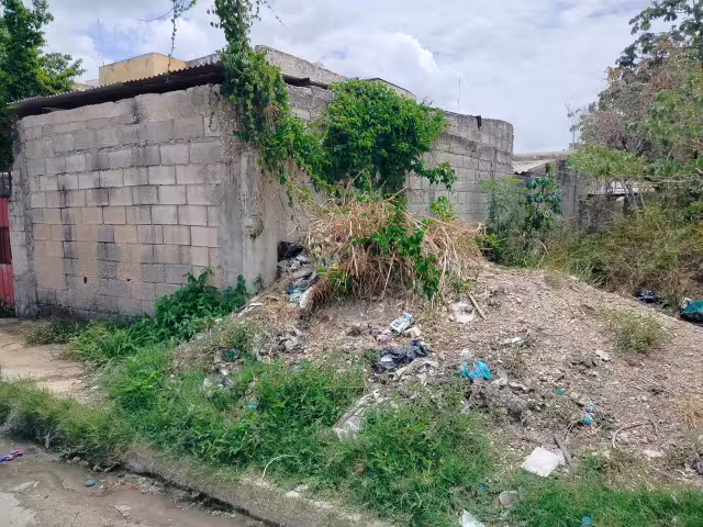Abandono y escombros amenazan vivienda de adulta mayor en la colonia Esperanza