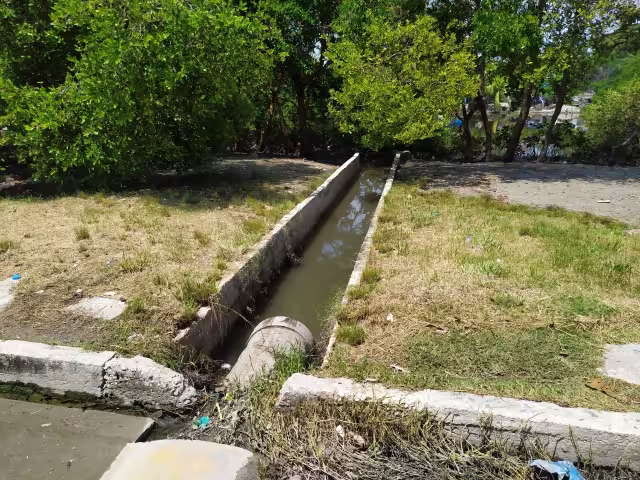 FOTOS: Juan Carlos García Vaughan