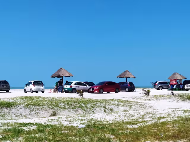 Los bañistas acapararon las cientos de palapas que están distribuidas a lo largo de la zona playera de Carmen, algunos llevaron sus vehículos hasta la arena