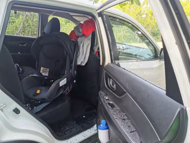 Algunos ladrones se escabullen entre los manglares después de cometer los robos en los vehículos