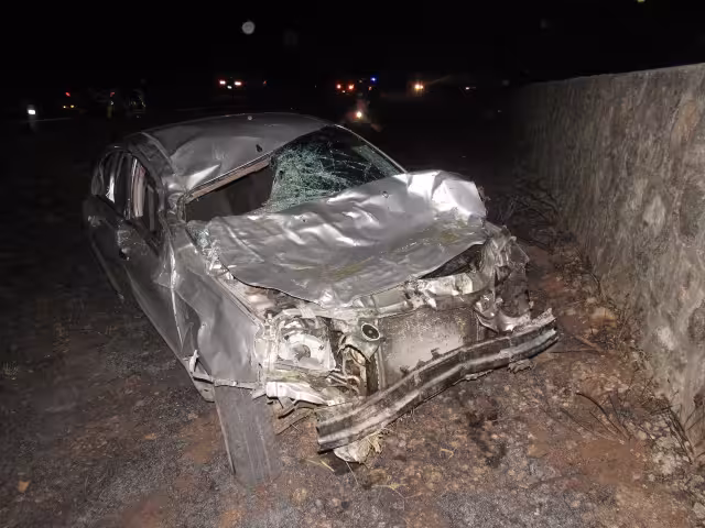 La vaca falleció tras el fuerte impacto del auto