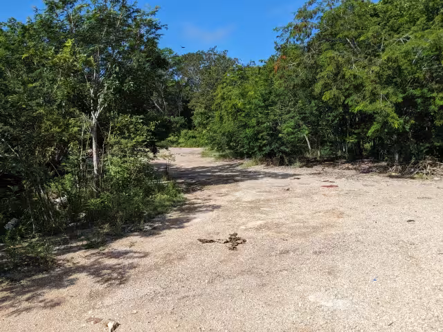 Ambas personas son vecinas de la cabecera municipal