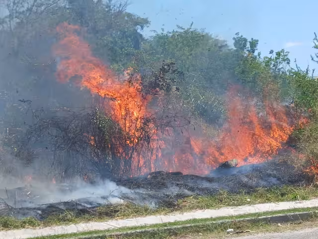 Fuego fuera de control moviliza a bomberos en Escárcega
