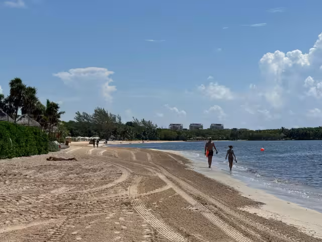 Actualmente existe una crisis en devastación ambiental local y mundial.